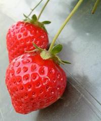 點擊圖片進入下一頁